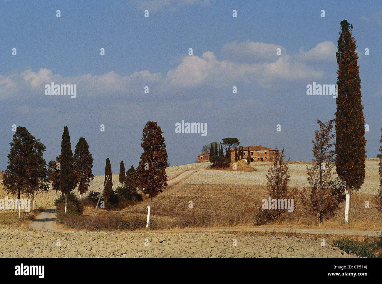 La campagne Toscane Sienne Banque D'Images