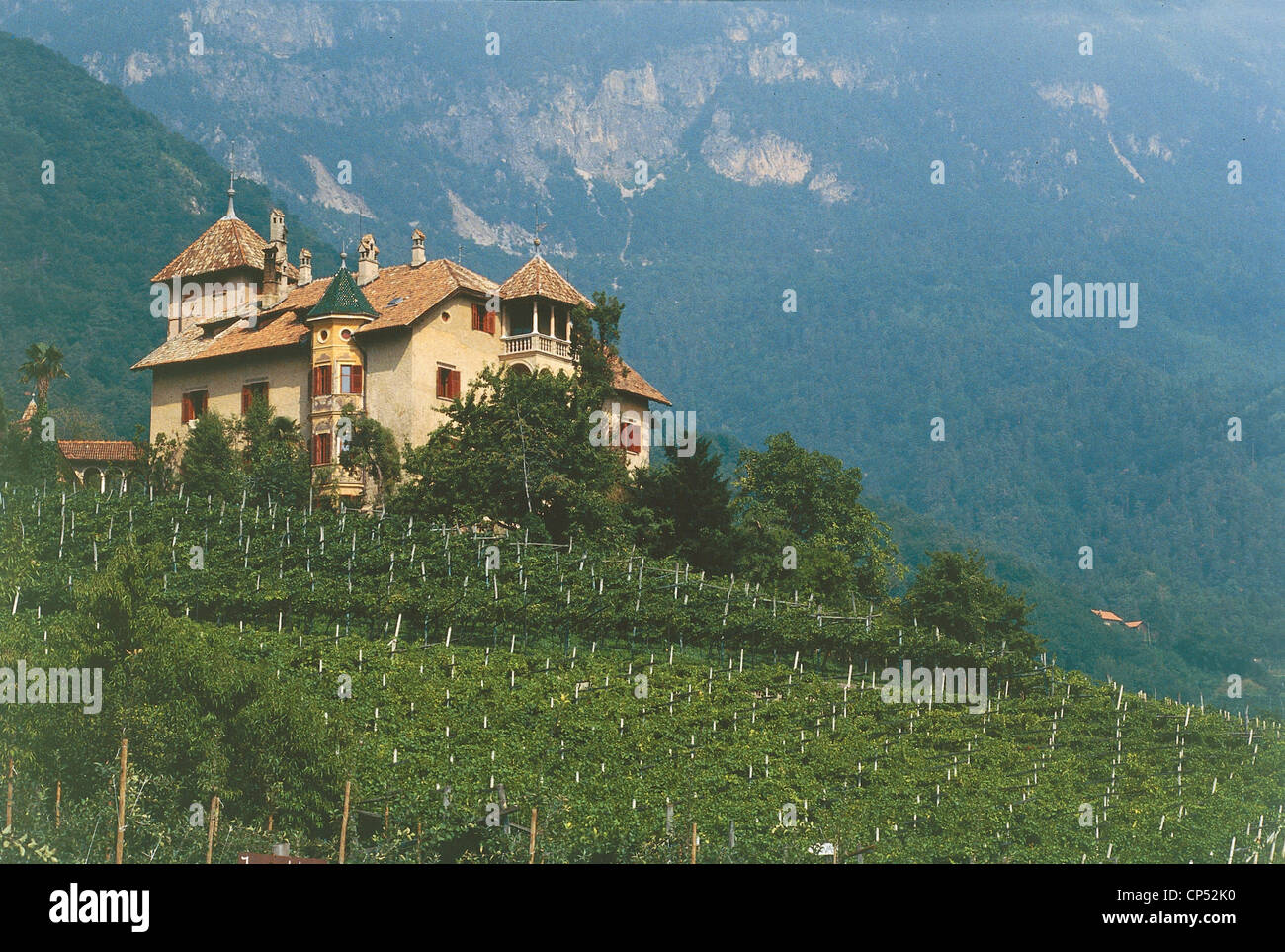 Trentino-Alto Adige - Caldaro sur la Route des Vins (BZ) Banque D'Images