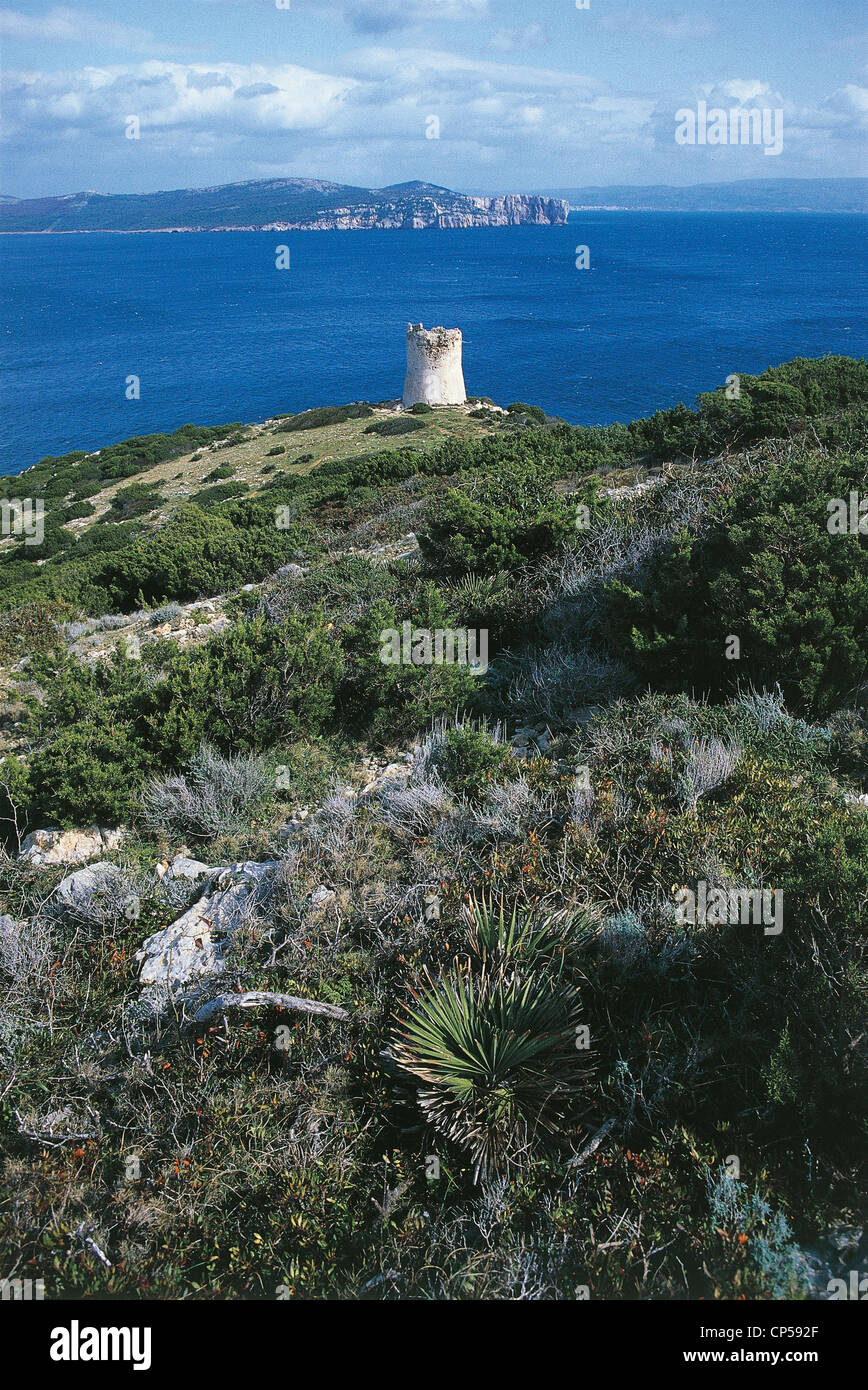 La Sardaigne et la chasse de tête Tower Bulo Punta Del Giglio Banque D'Images