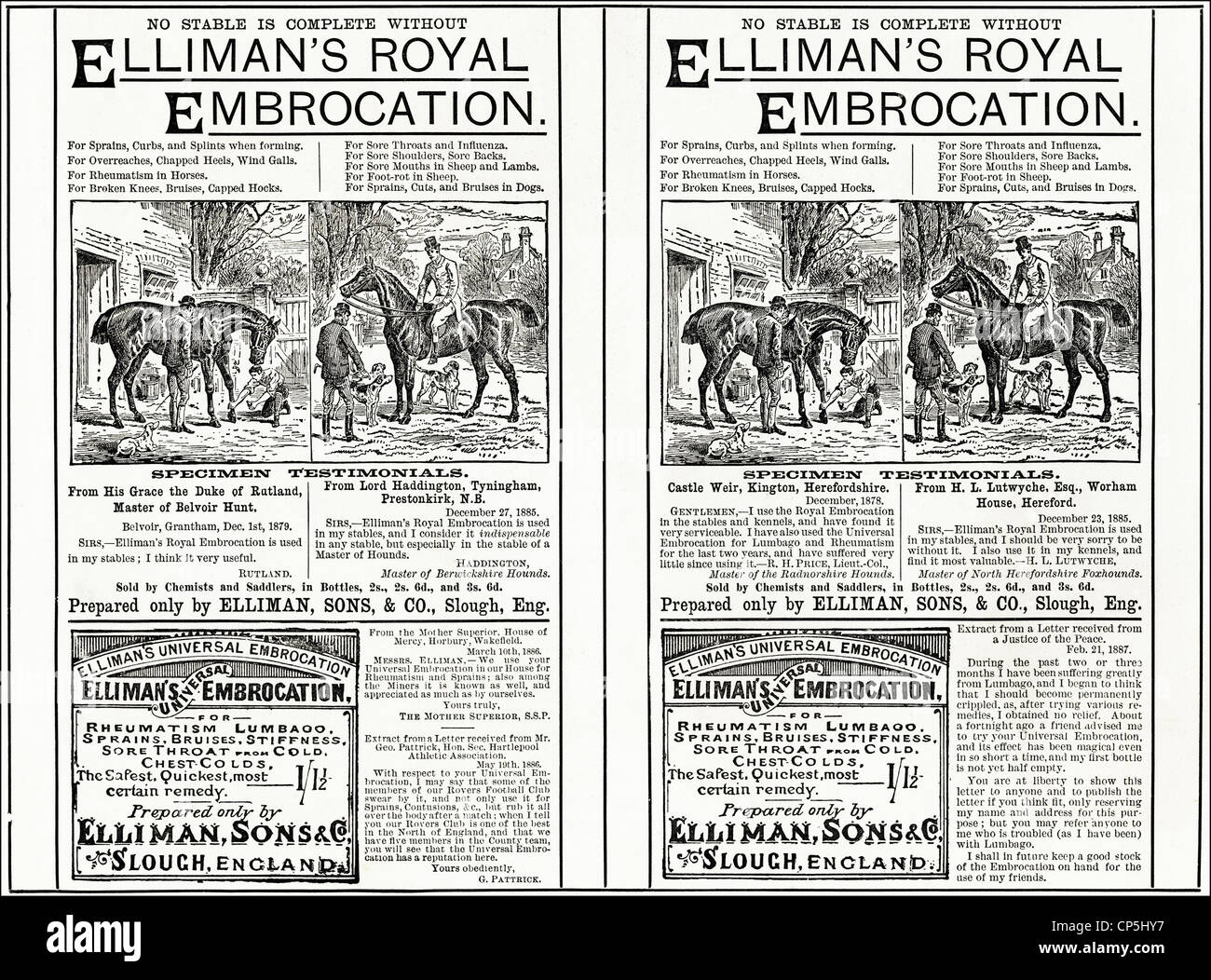 Publicité Publicité victorienne originale ELLIMAN'S ROYAL EMBROCATION pour les chevaux. Source date 13 juin 1887. Banque D'Images