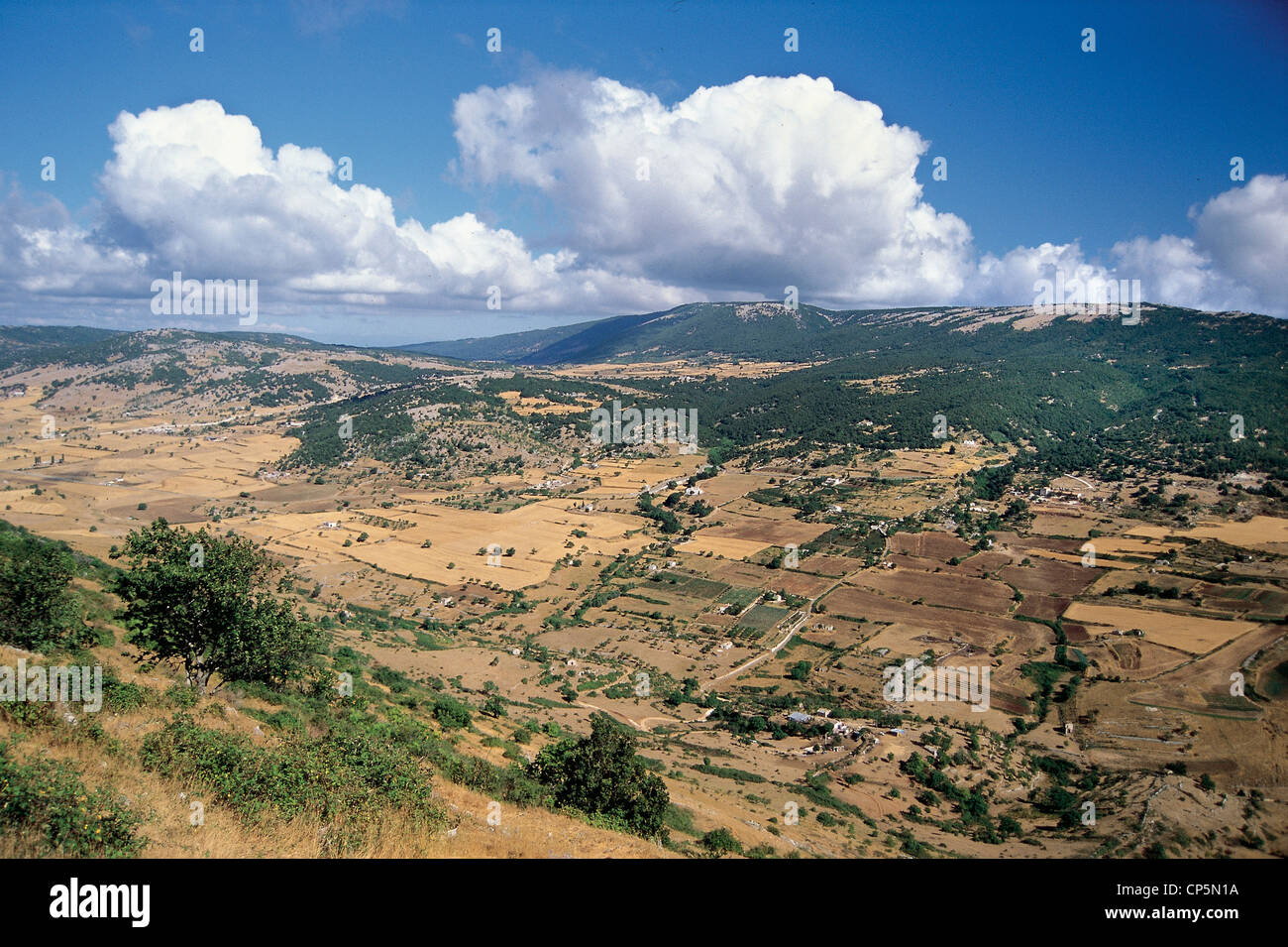 Gargano Pouilles VALLÉE À MONTE SANT'ANGELO à la carbonara Banque D'Images