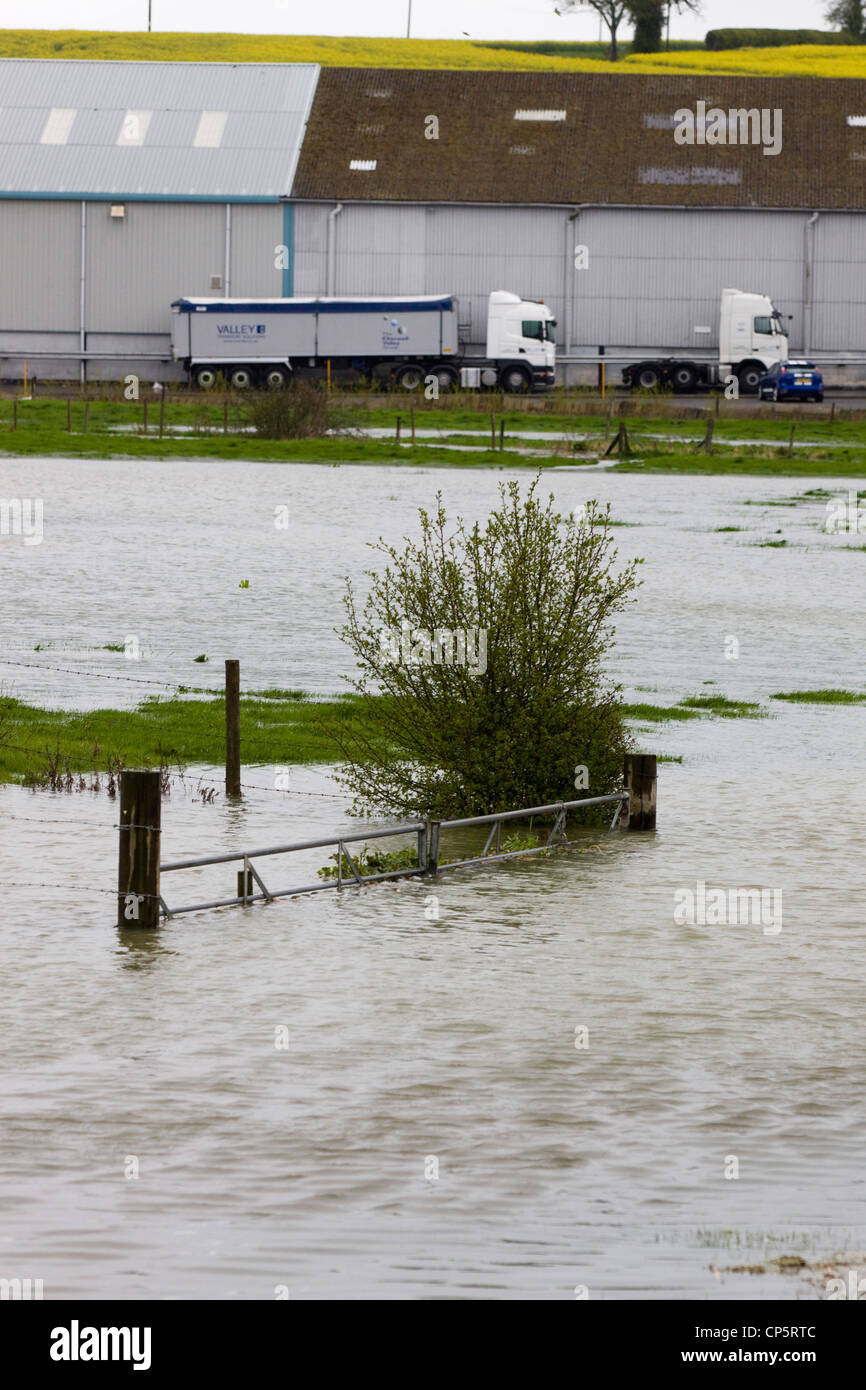 Les eaux de crue à Kings Sutton dans l'Oxfordshire / Northamptonshire Angleterre sur la rivière Cherwell Banque D'Images
