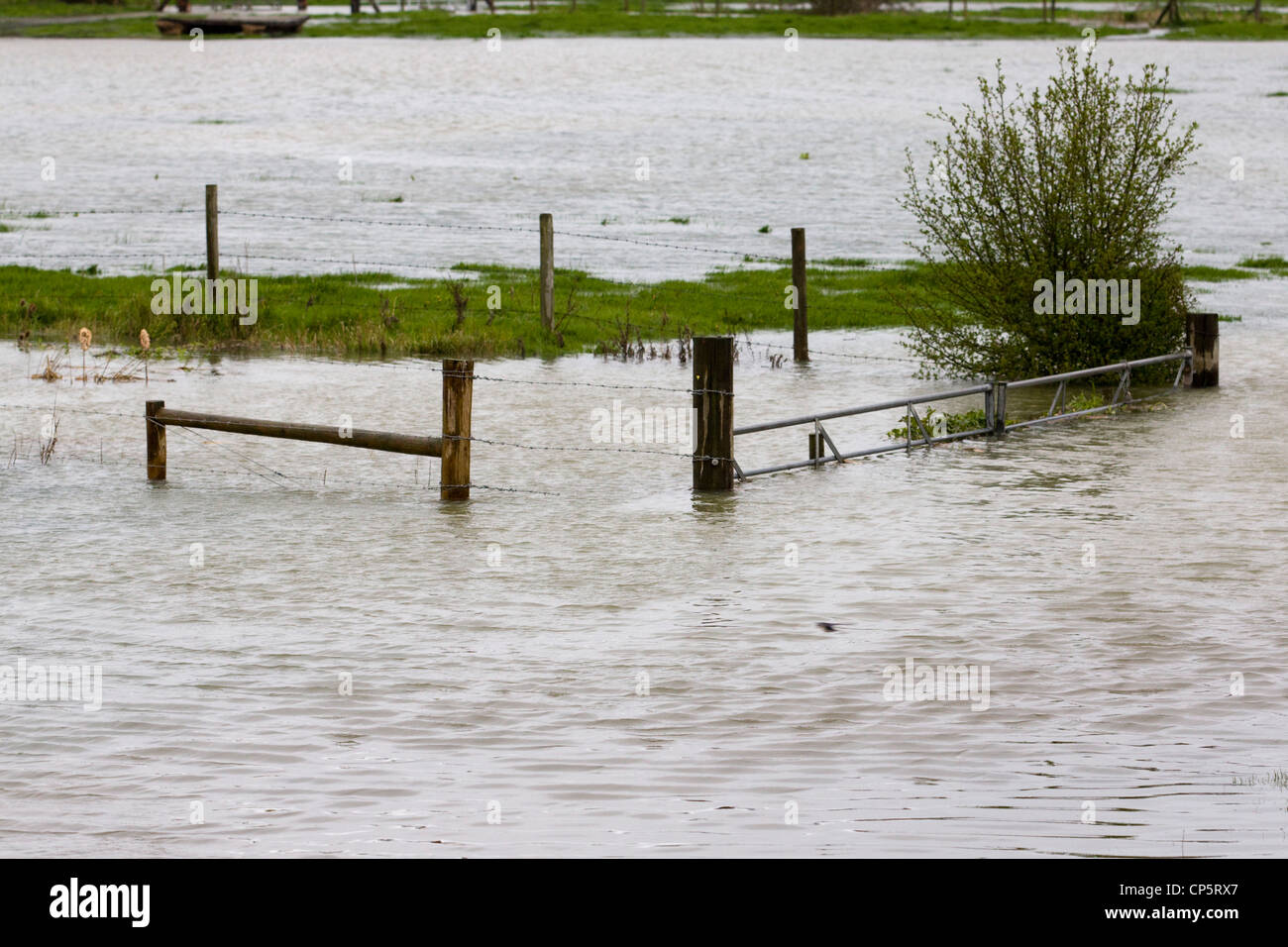 Les eaux de crue à Kings Sutton dans l'Oxfordshire / Northamptonshire Angleterre sur la rivière Cherwell Banque D'Images