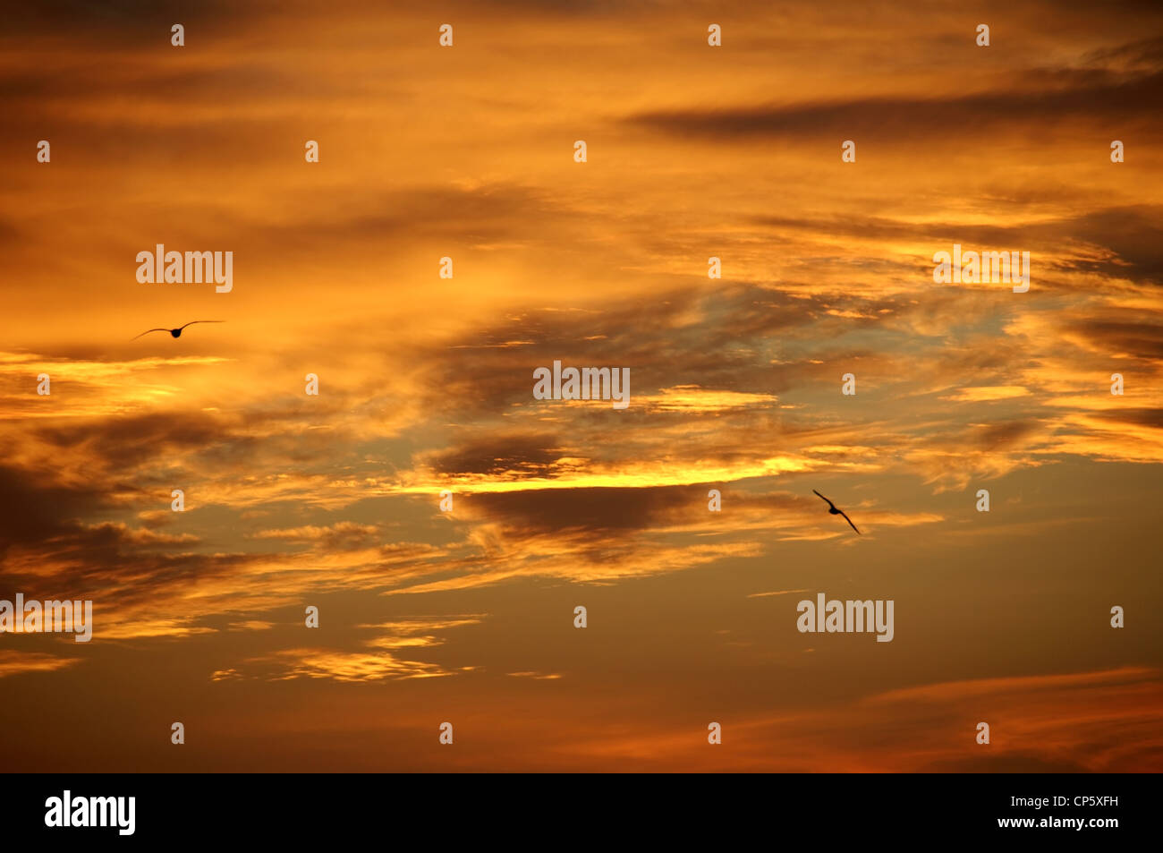 Magnifique coucher de soleil avec nuages orange Banque D'Images