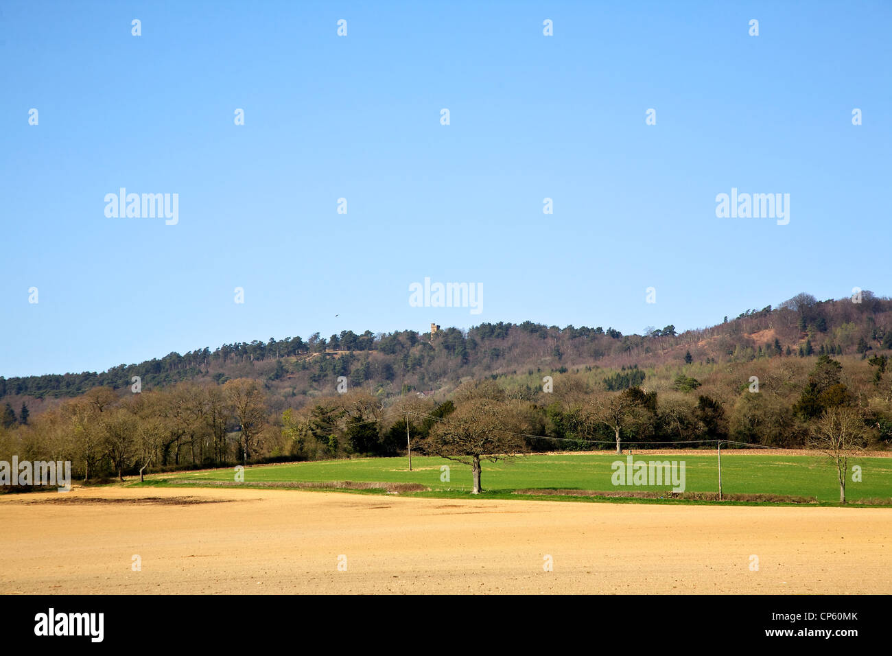 Leith Hill Tower et Coldharbor Surrey Village Banque D'Images