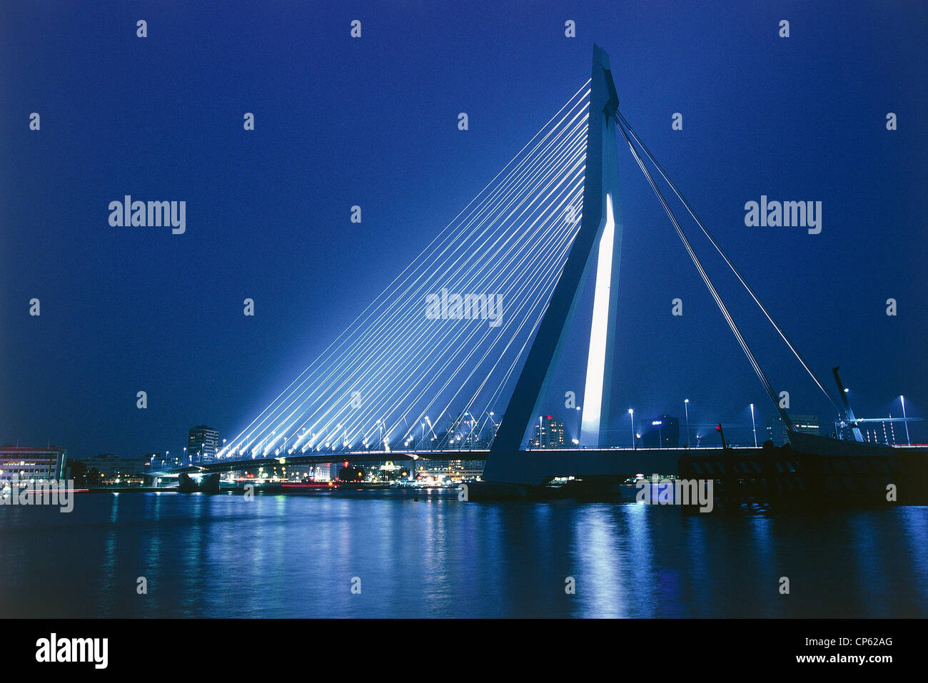 Pays-bas - Pays-Bas - Rotterdam. Le Pont Erasmus futuristic (Ben van Berkel, 1996). La nuit. Banque D'Images