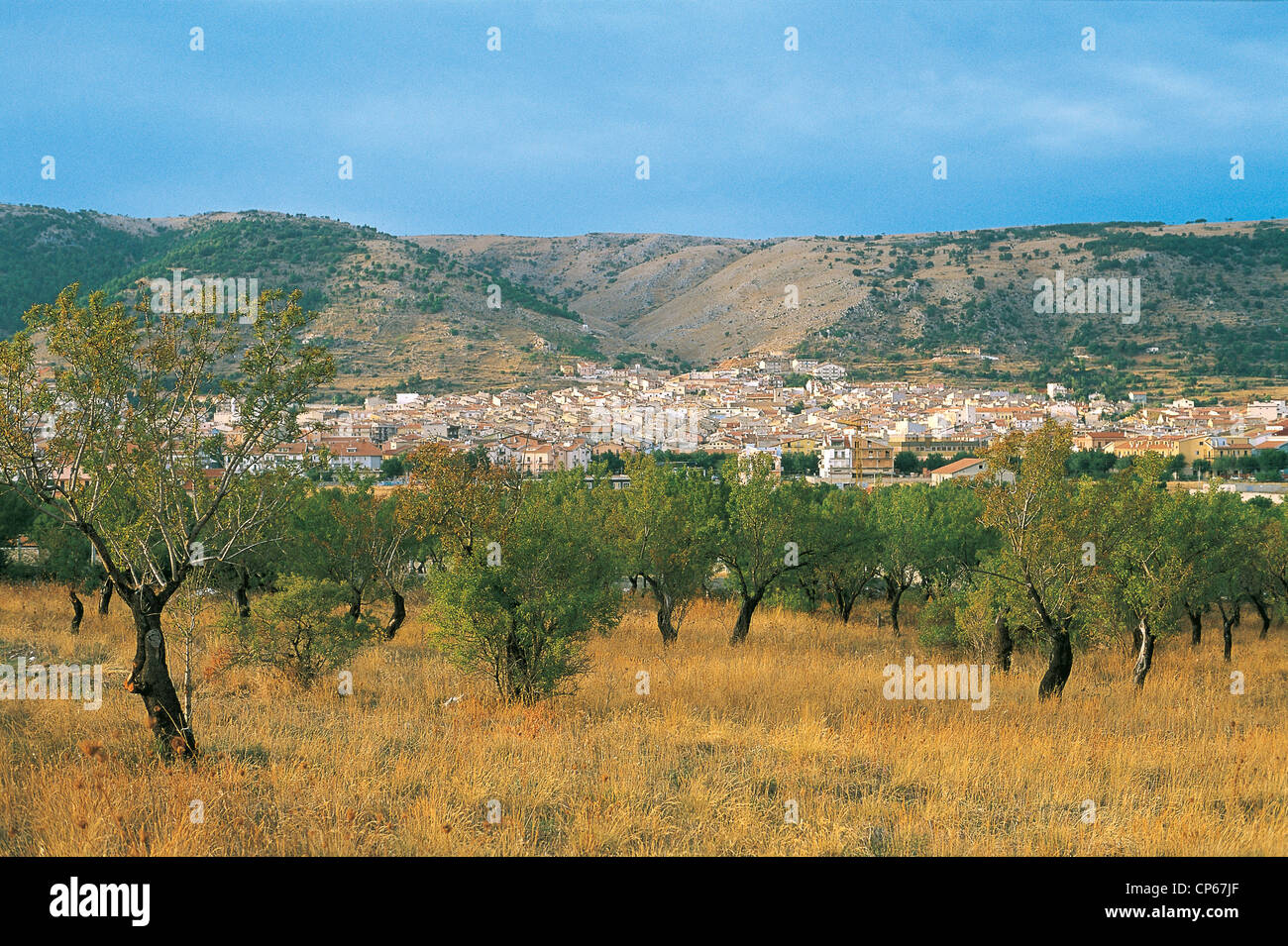 Le Parc National du Gargano - Pouilles - San Giovanni Rotondo (FG). Banque D'Images