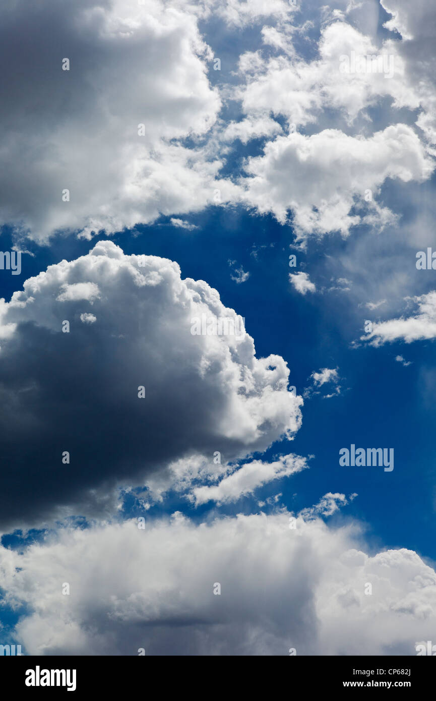 Puffy nuages blancs sur un ciel bleu cobalt Colorado Banque D'Images