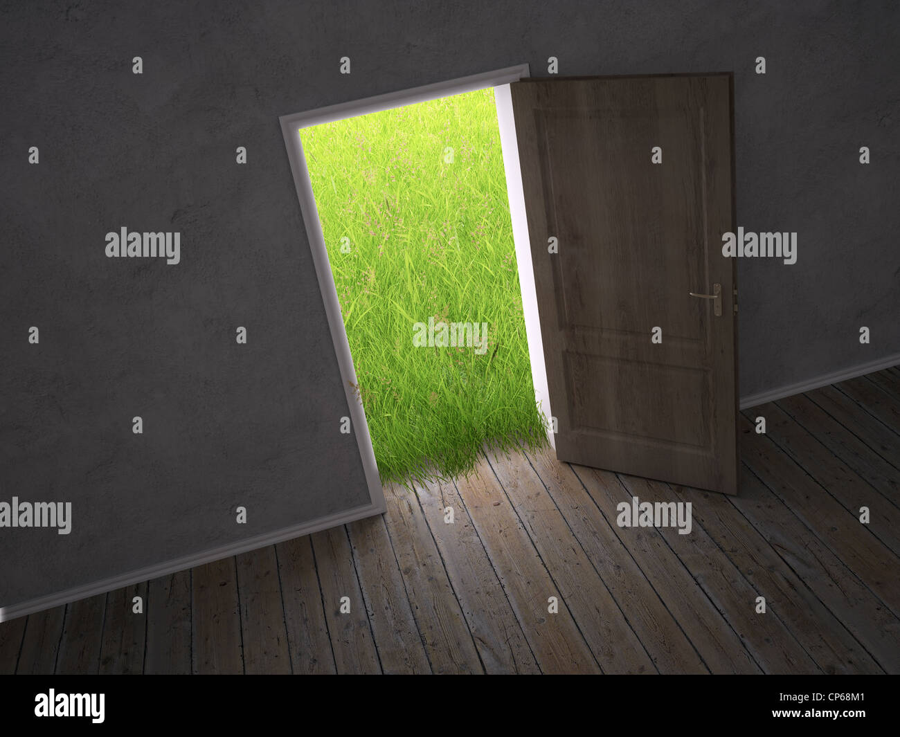Porte ouverte menant à un pré vert Banque D'Images