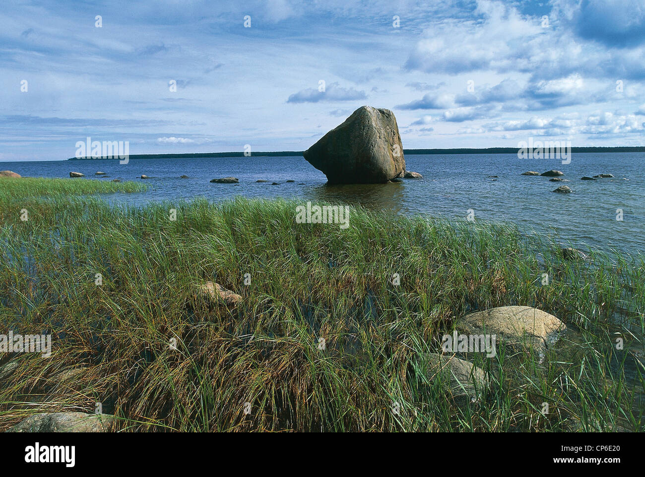Nord-est de l'Estonie - Golfe de Finlande - Parc National Lahemaa - La côte de la mer Baltique à Kasmu. Banque D'Images