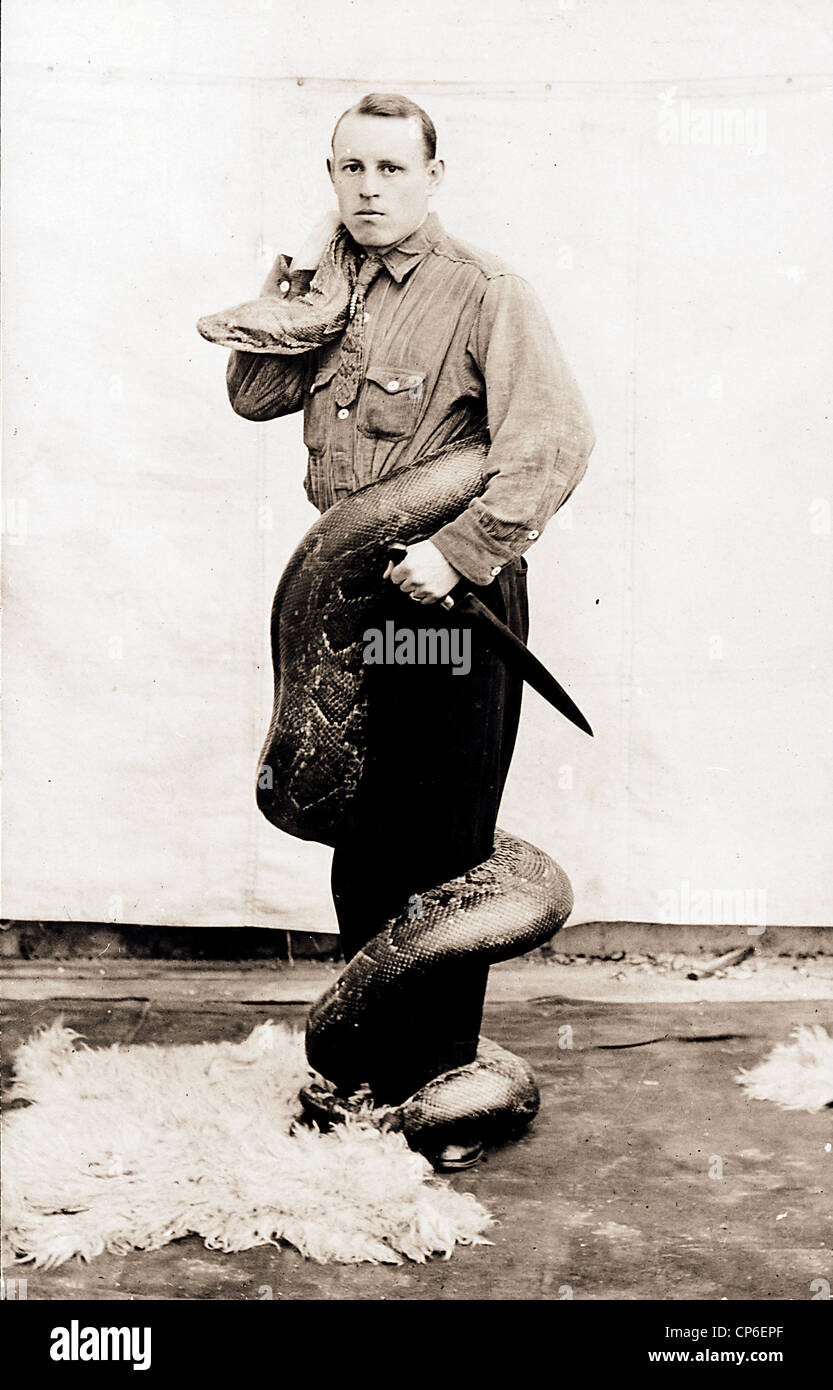 Anaconda étouffe un serpent Handler Banque D'Images