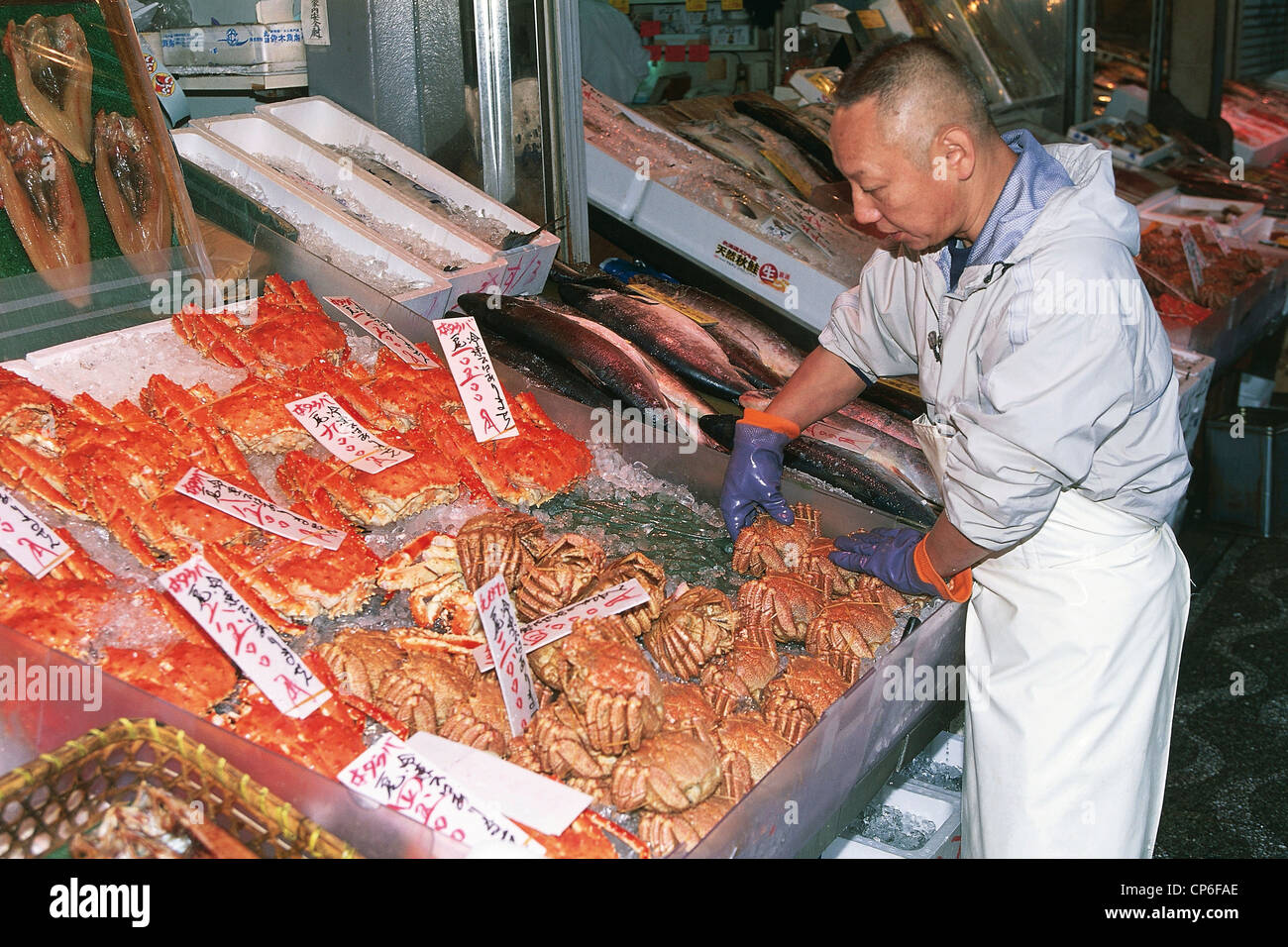 Japon - Hokkaido. Nijo Sapporo Marché aux poissons. Visite d'une poissons, crabes Banque D'Images