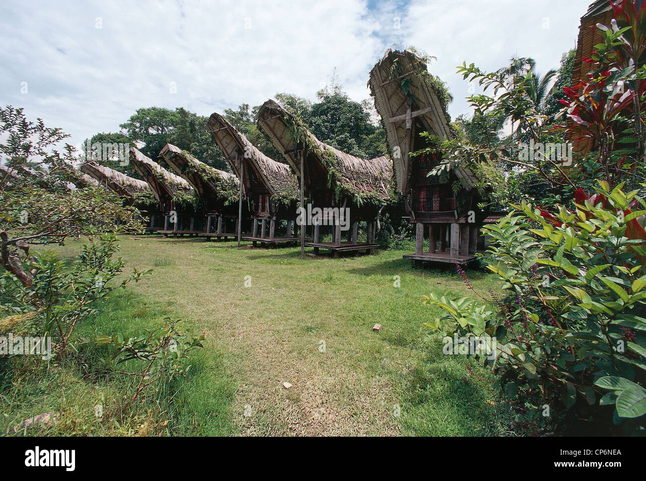 Indonesie Ile De Celebes Sulawesi Village D Habitation Nanggala Avec Les Silos De Stockage De Riz Photo Stock Alamy