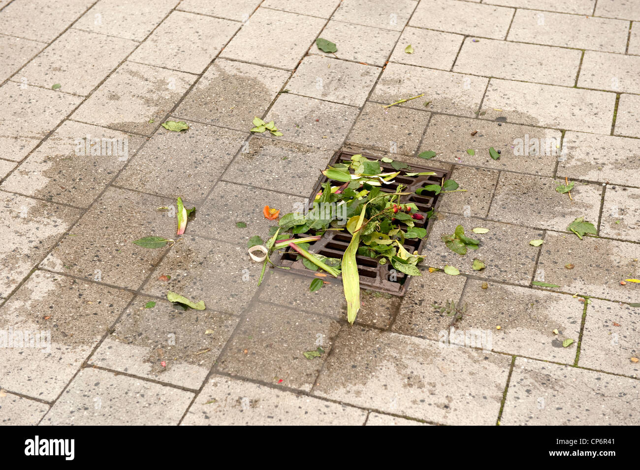 Fleurs vieux jeté jeté vers le bas de la grille de vidange Banque D'Images