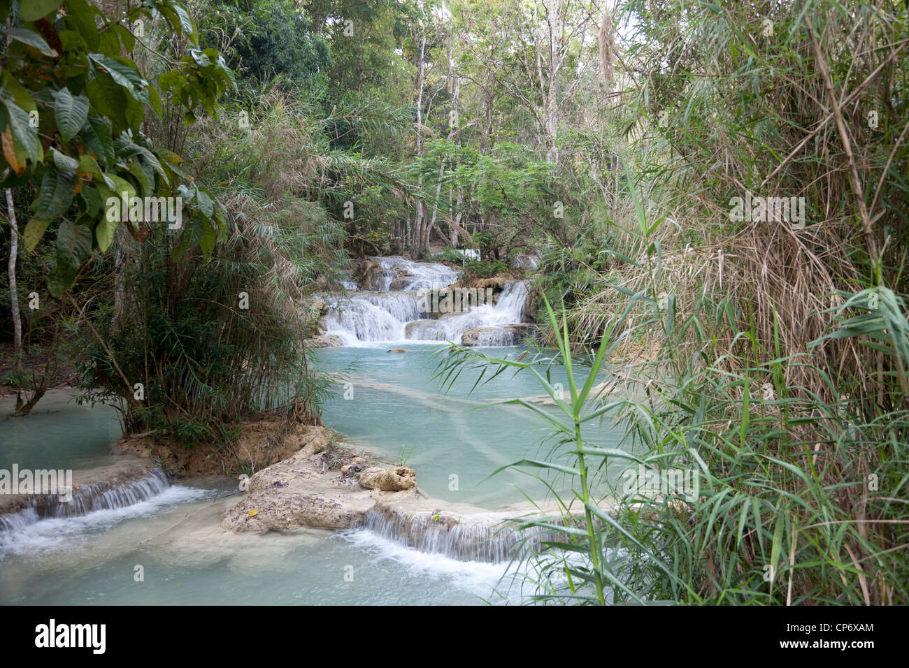 La cascade à plusieurs niveaux de Kuang Si dans le parc de la forêt du même nom (Luang Prabang - Laos). La cascade de Kuang Si multiniveaux (Laos). Banque D'Images