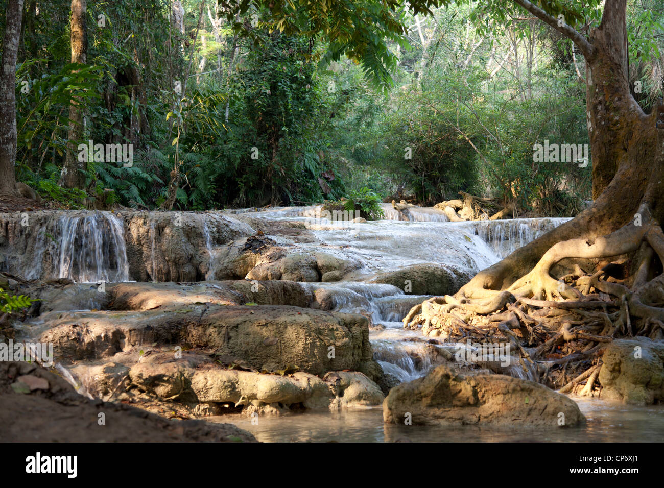 La cascade à plusieurs niveaux de Kuang Si dans le parc de la forêt du même nom (Luang Prabang - Laos). La cascade de Kuang Si multiniveaux (Laos). Banque D'Images
