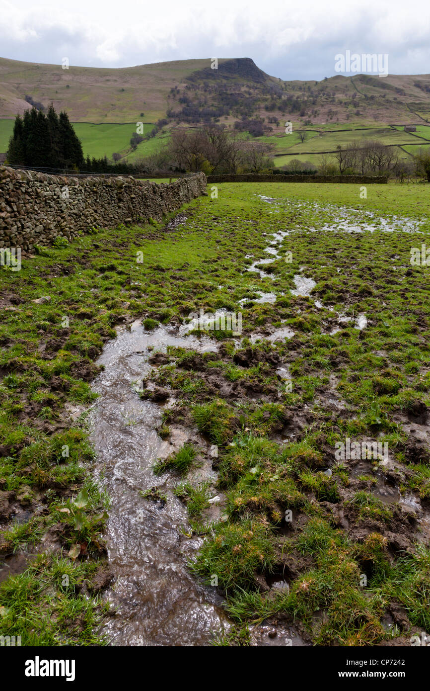Un flux d'eau circulant dans un champ détrempé. Terres humides boueux après des jours de pluie, Nether Booth, Derbyshire, Angleterre, RU Banque D'Images