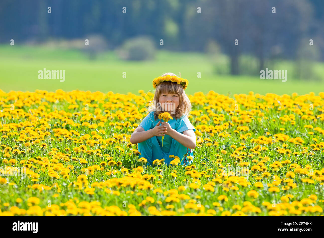 Garçon avec de longs cheveux blonds dans un champ de pissenlits cueillette smiling Banque D'Images