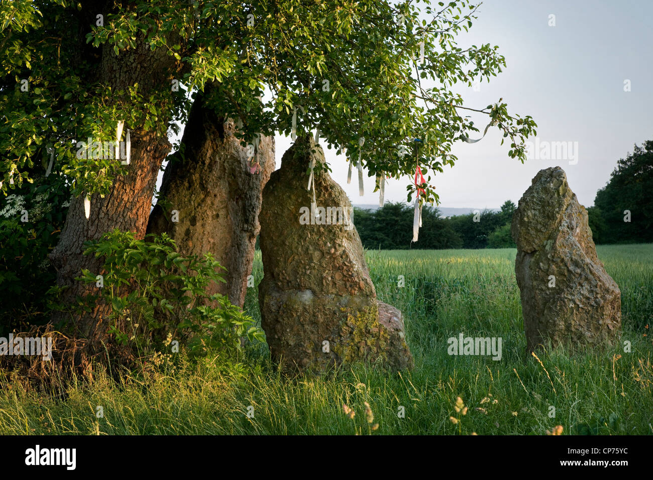 Les 3 pierres / menhirs d'Oppagne près de Wéris, Ardennes Belges, Luxembourg, Belgique Banque D'Images