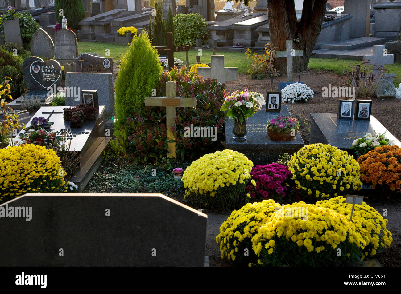Fleurs sur les tombes au cimetière le Campo Santo à Sint-Amandsberg près de Gand, Belgique Banque D'Images