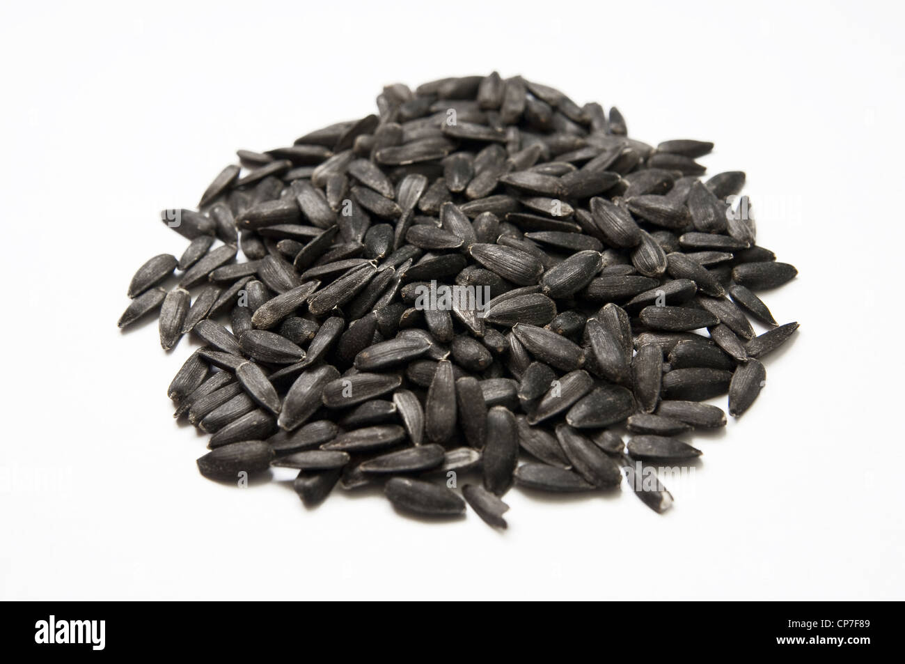 Les graines de tournesol noires isolé sur fond blanc Banque D'Images