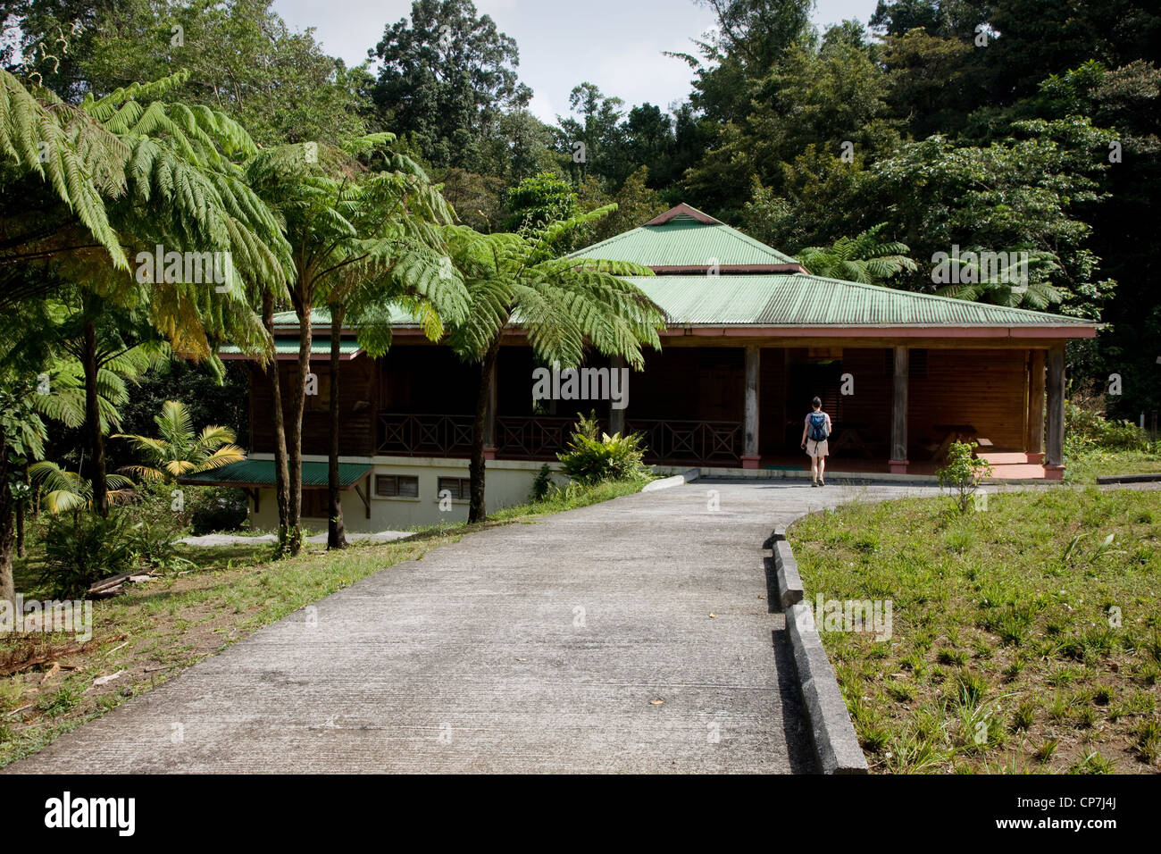 Centre des visiteurs de la forêt tropicale Syndicate Trail sur la Morne Diablotins Dominique Antilles Banque D'Images