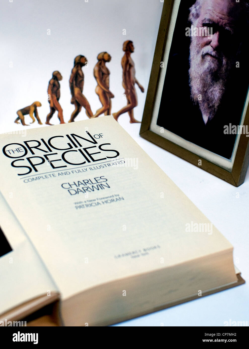 Portrait de Charles Darwin et son ouvrage l'origine des espèces, Londres Banque D'Images