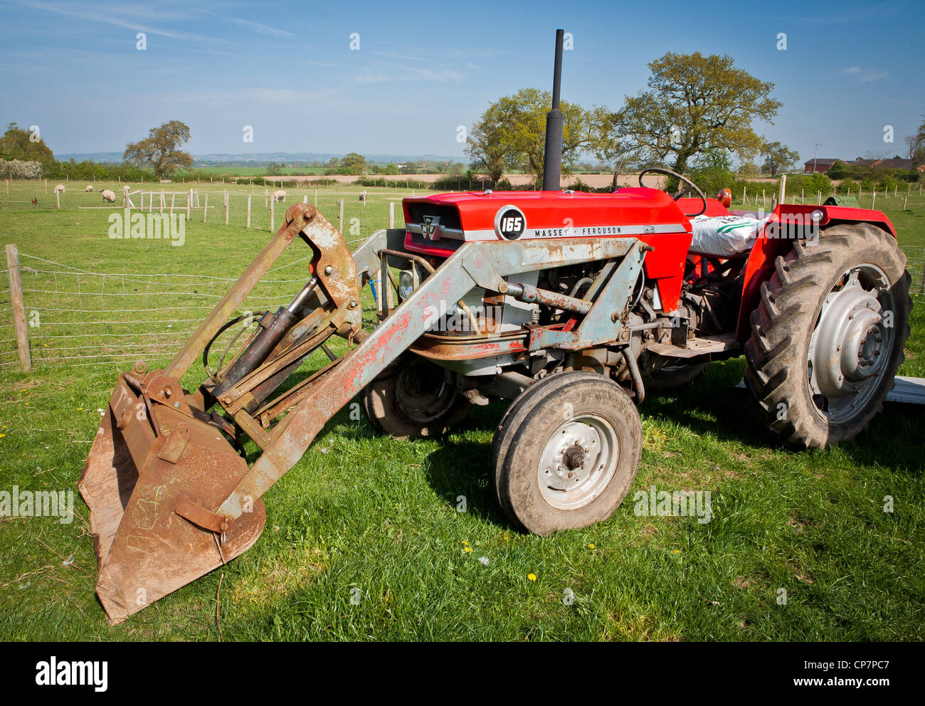 165 Massey Ferguson rouge Vintage le tracteur dans le champ, avec ciel bleu  Photo Stock - Alamy