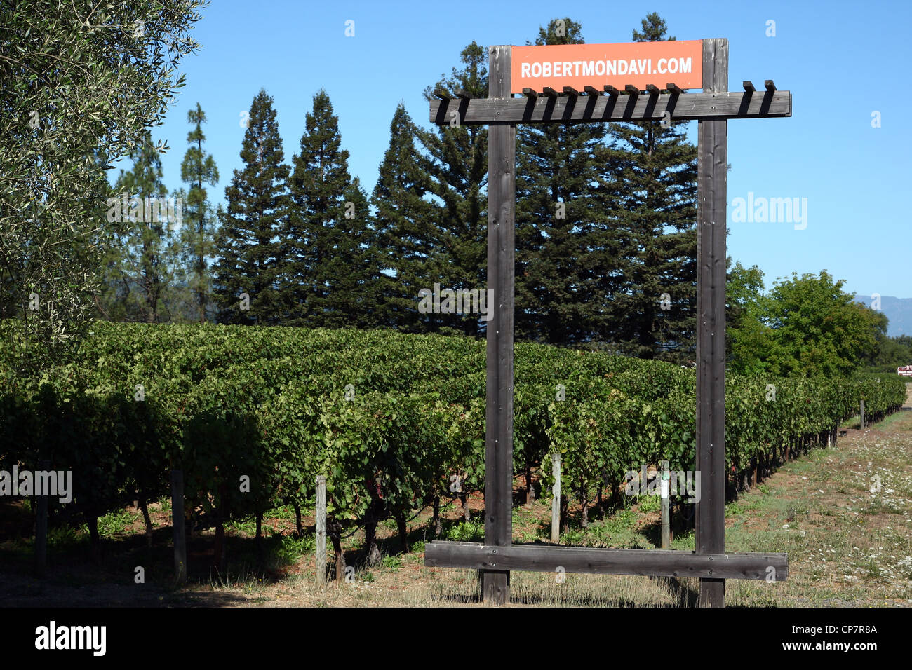 ROBERT MONDAVI NAPA VALLEY VINEYARD CALIFORNIA USA 06 Octobre 2011 Banque D'Images