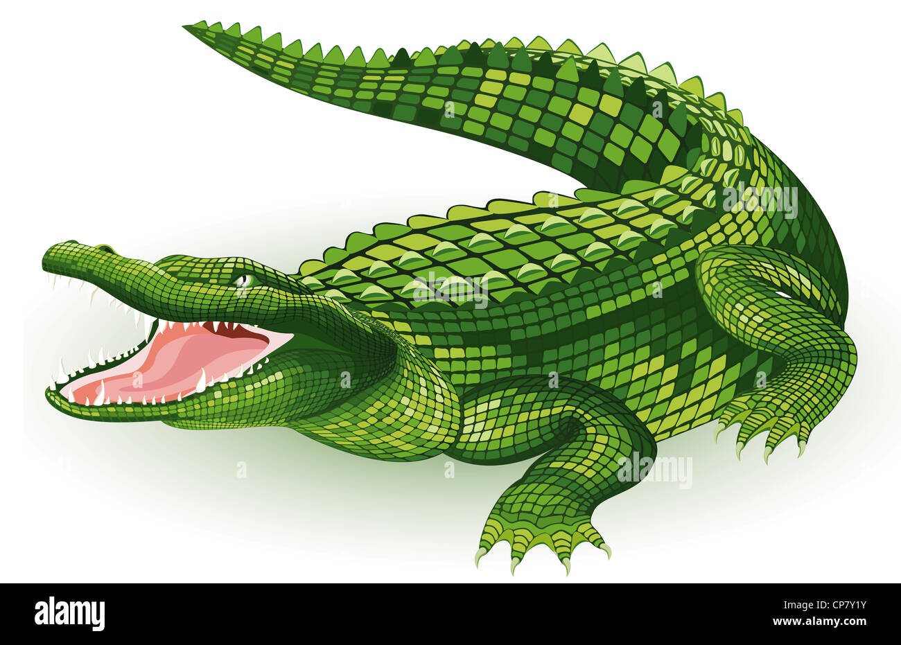 Crocodile De Do De Jeu Sur Le Fond Blanc Photo stock - Image du décoratif,  décoration: 127131330