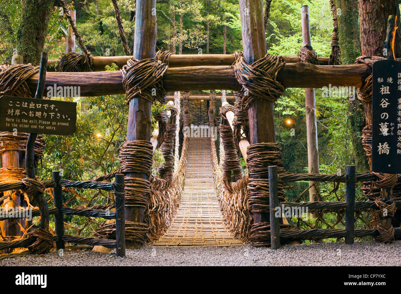 Traversée du pont de la vigne dans la vallée de l'Ama Préfecture Tokushima Japon Shikoku Banque D'Images
