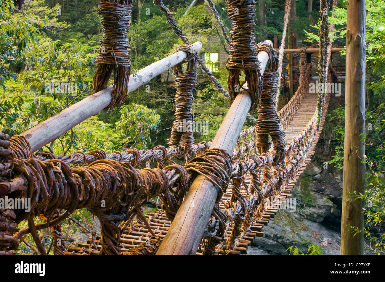 Traversée du pont de la vigne dans la vallée de l'Ama Préfecture Tokushima Japon Shikoku Banque D'Images