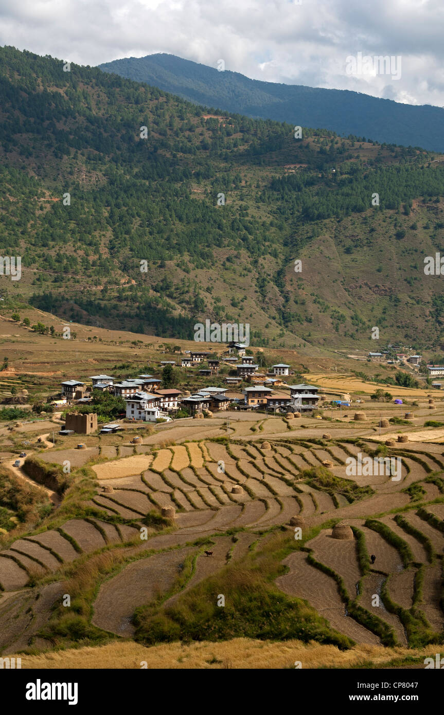 Sopsokha inmidst le village de parcelles de riz en terrasses, le Bhoutan Banque D'Images