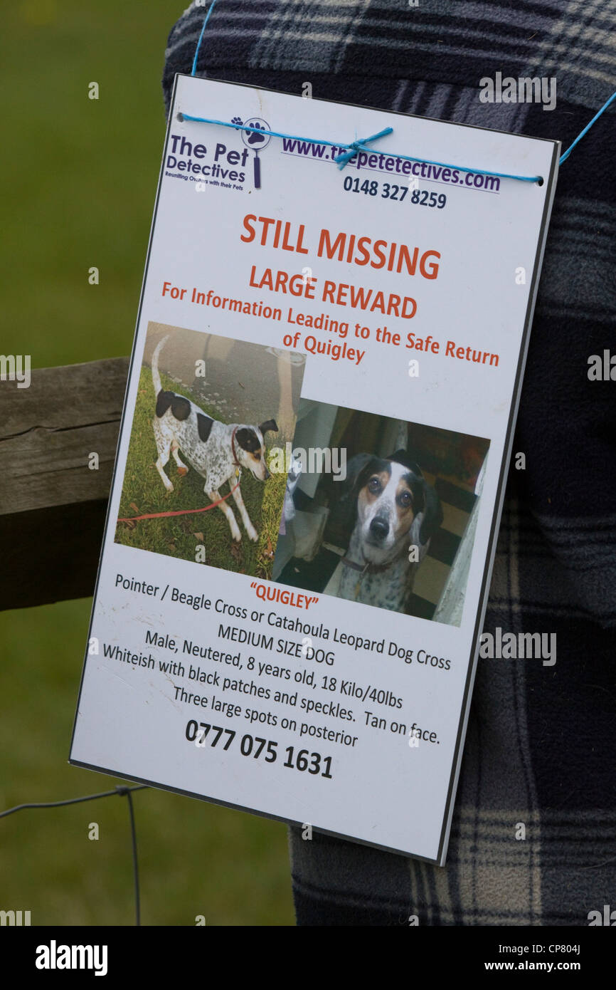 Les détectives à la recherche d'animal chiens manquant à un spectacle dans le Northamptonshire en Angleterre Banque D'Images