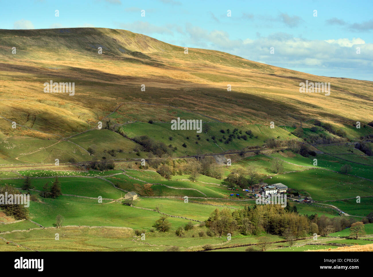 Hill Hall Farm et Middleark cicatrice. Mallerstang, Yorkshire Dales National Park, Cumbria, Angleterre, Royaume-Uni, Europe. Banque D'Images
