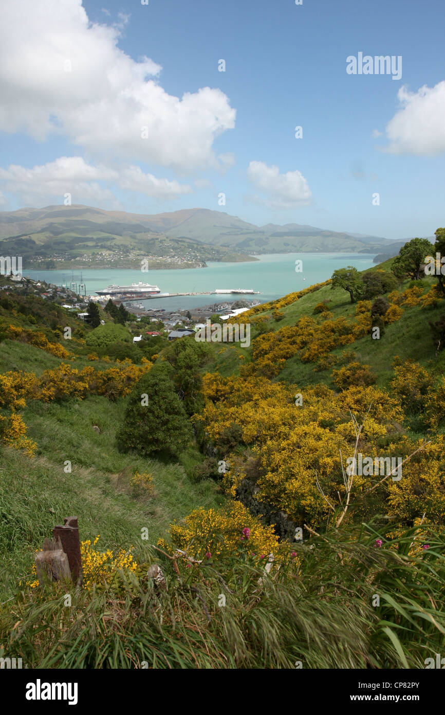 Lyttelton, Nouvelle-Zélande. Harbour vu de Mount Pleasant Banque D'Images