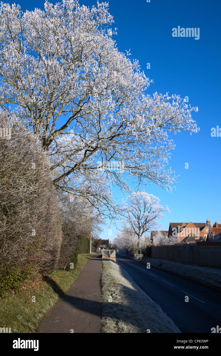 Trottoir dans le Cambridgeshire village avec givre sur les arbres Banque D'Images