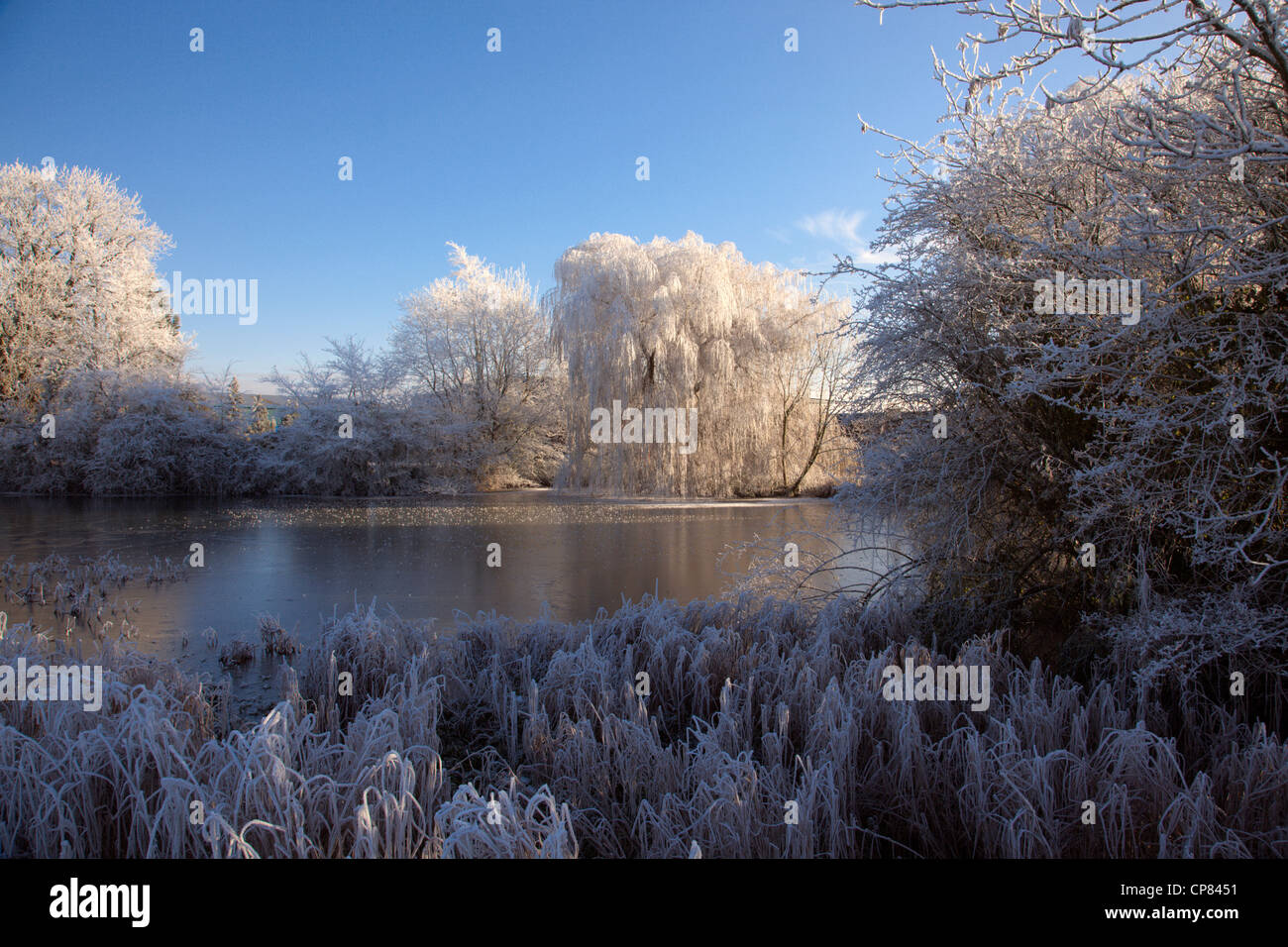 Village et étang gelé givre dans le Cambridgeshire Banque D'Images