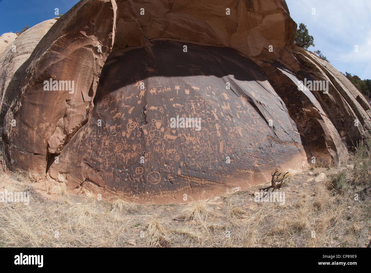 Pétroglyphes sur paroi du canyon dans l'Utah. Banque D'Images