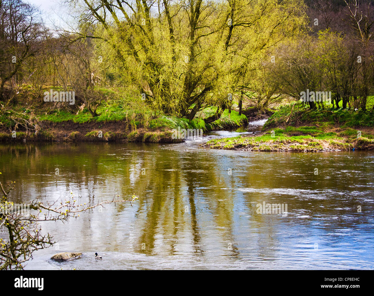 Dinckley brook Banque de photographies et d’images à haute résolution