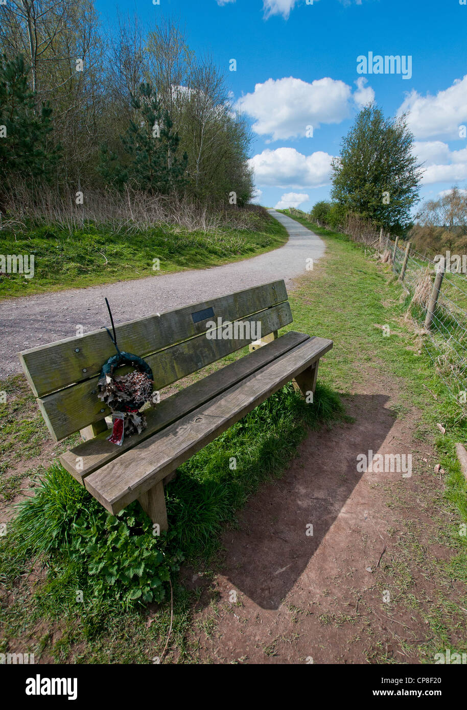 Banc sur Old Pale hill, Delamere Forest, Cheshire, avec fleurs memorial Banque D'Images