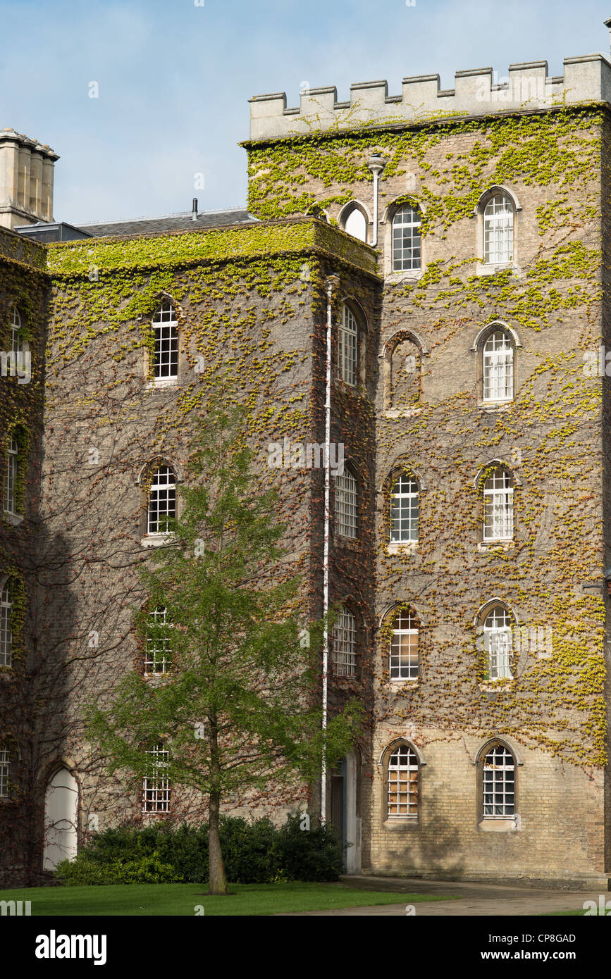 Un bâtiment couvert de lierre à St John's College, Cambridge, Angleterre. Banque D'Images