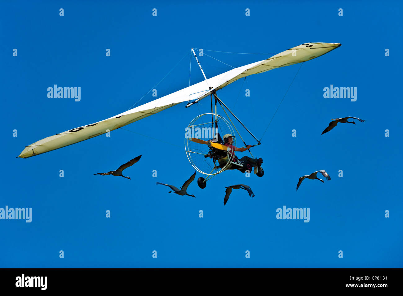 https://c8.alamy.com/compfr/cp8h31/europe-italie-piemont-turin-le-mot-jeux-air-deltaplane-2009-avec-les-oies-cp8h31.jpg