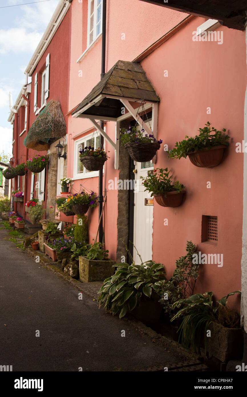 Rangée de jolis cottages dans le tranquille village de Devon. Banque D'Images