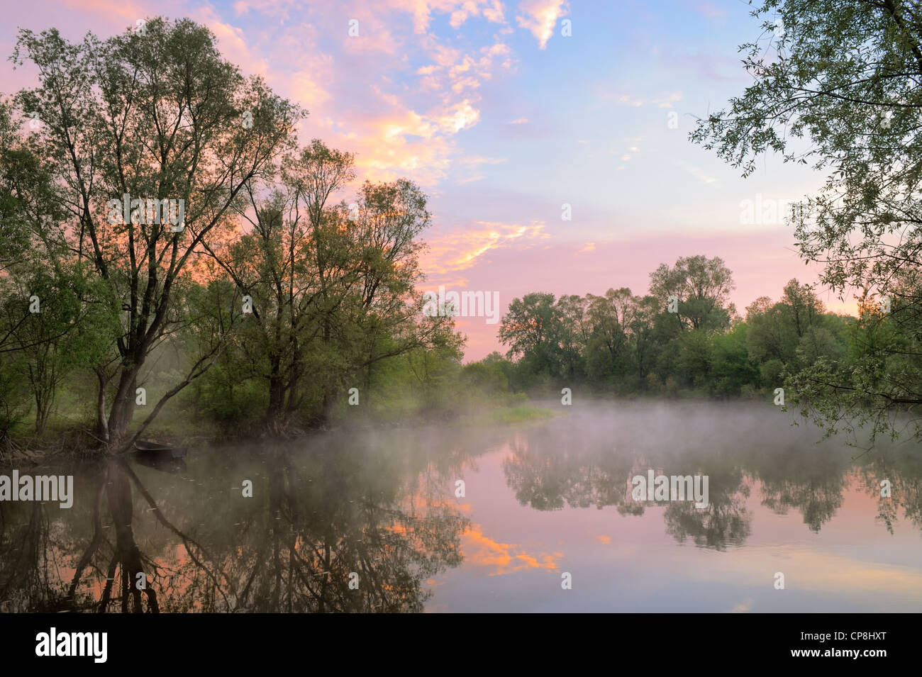 Le matin paysage avec brouillard et ciel chaud sur la Narew river, en Pologne. Banque D'Images