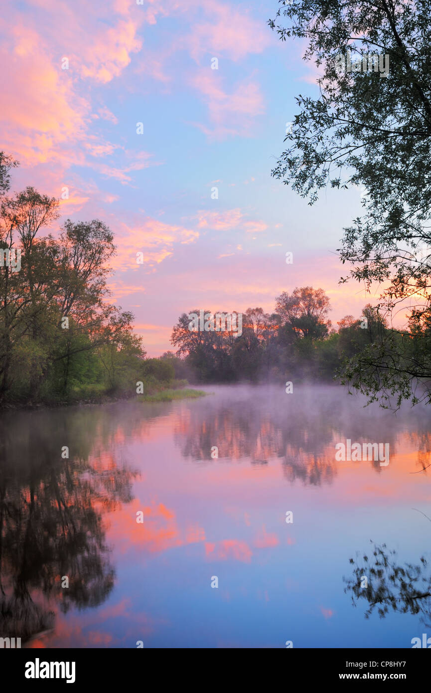 Le matin paysage avec brouillard et rose chaud ciel au-dessus de la rivière Narew, la Pologne. Banque D'Images