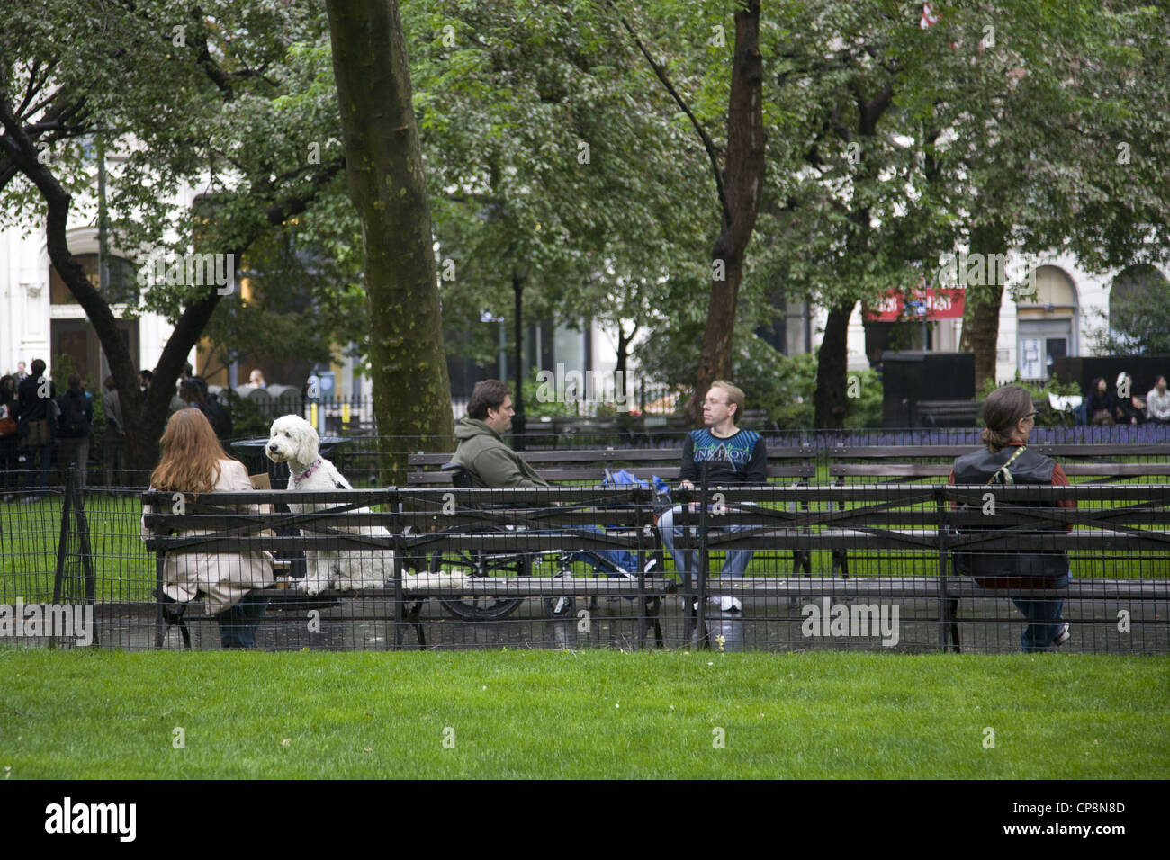 Madison Square Park à la hauteur de la 23e st& 5e Avenue à New York. Banque D'Images