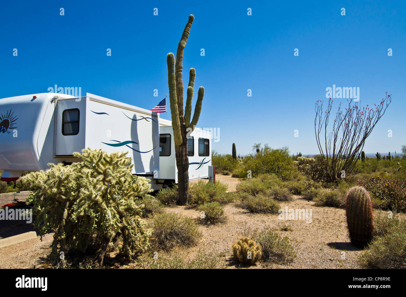 Camping du désert dans le désert de Sonora, East Mesa, AZ Banque D'Images