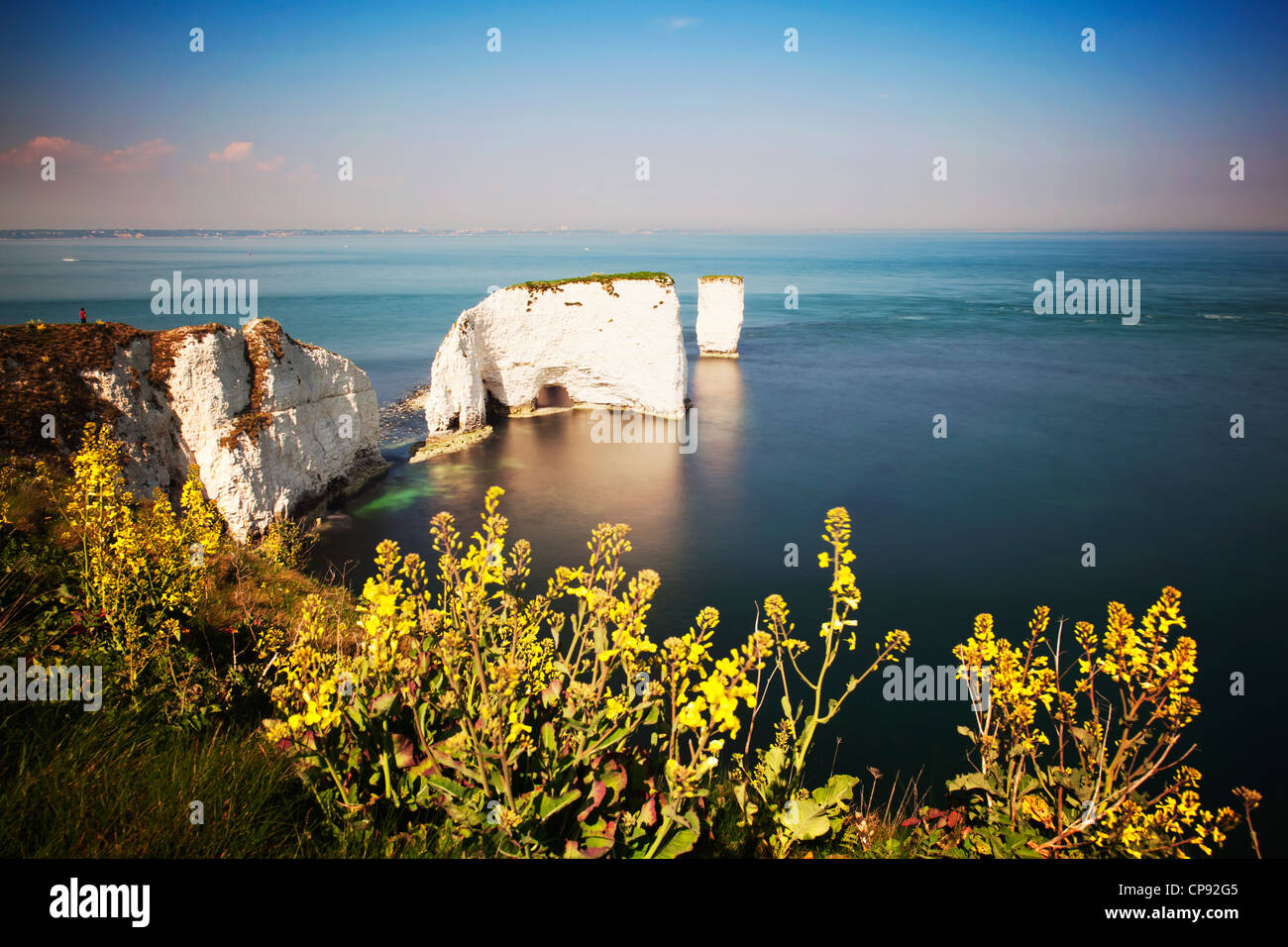 Avis de Old Harry Rocks, Chalk cheminées qui sortent en dans la Manche de la Côte Jurassique, Handfast Point, Dorset, UK Banque D'Images