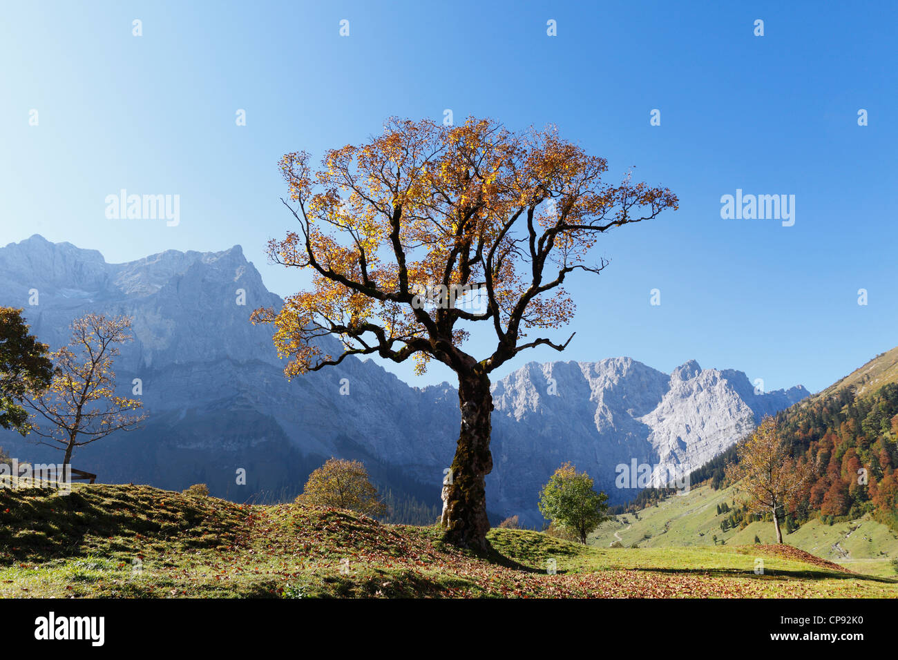 Autriche, Tyrol, voir des montagnes du Karwendel à l'automne Banque D'Images